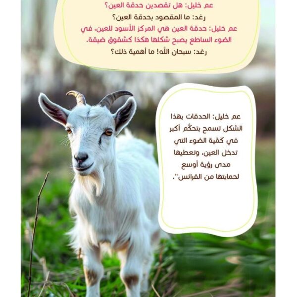 أمم أمثالكم