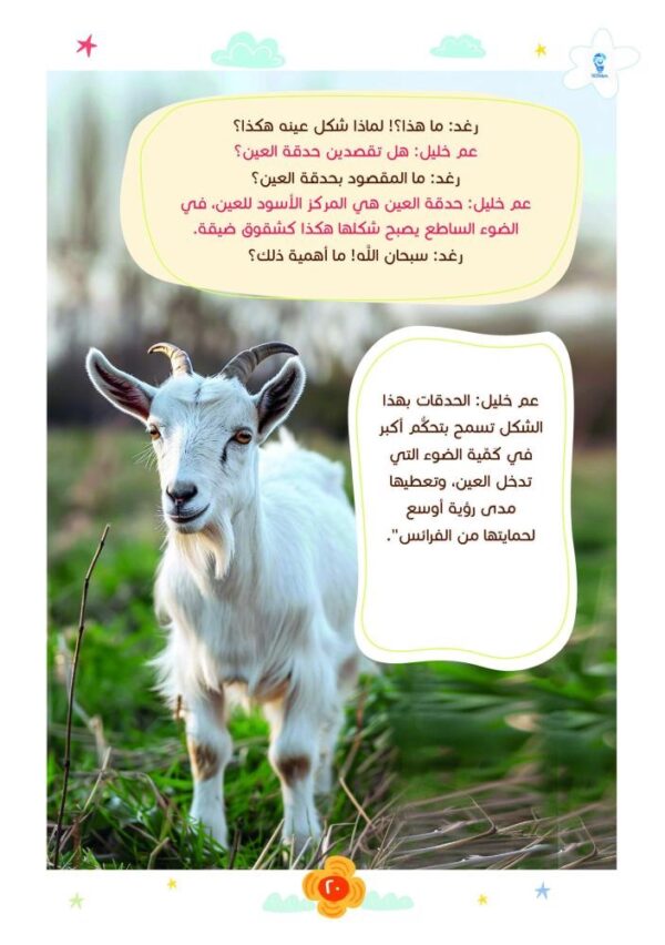 أمم أمثالكم